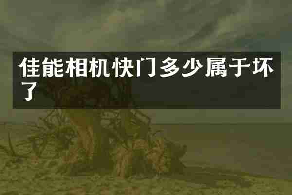 佳能相机快门多少属于坏了