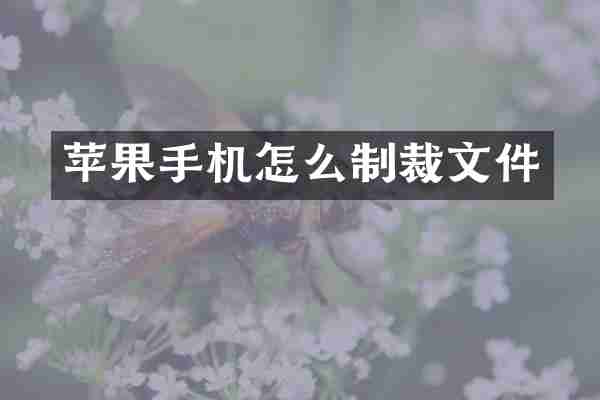 苹果手机怎么制裁文件