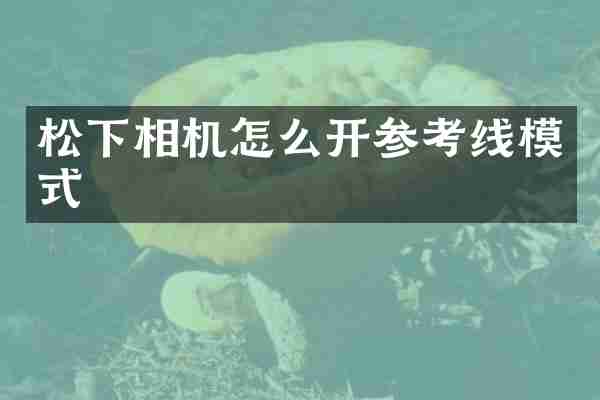 松下相机怎么开参考线模式