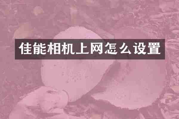 佳能相机上网怎么设置
