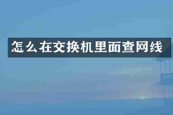怎么在交换机里面查网线