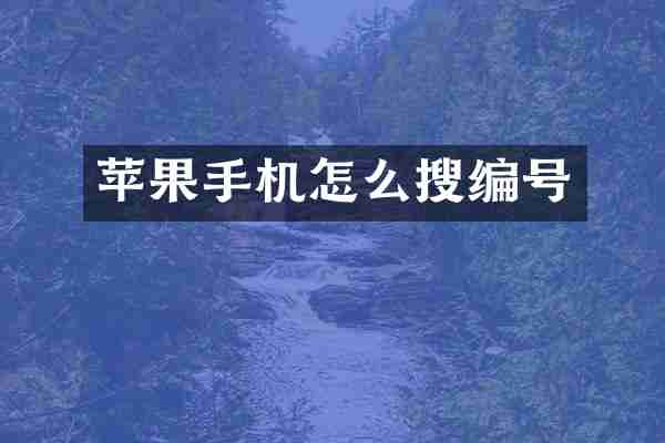 苹果手机怎么搜编号