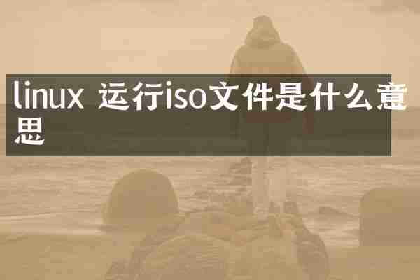 linux 运行iso文件是什么意思