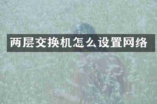 两层交换机怎么设置网络
