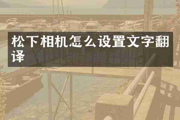 松下相机怎么设置文字翻译