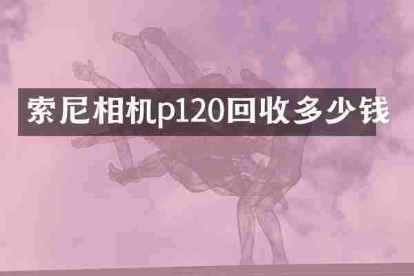 索尼相机p120回收多少钱