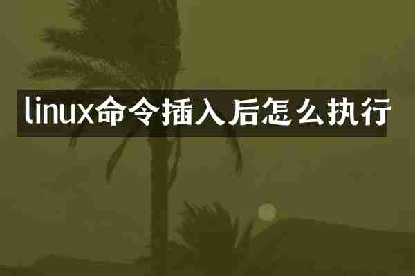 linux命令插入后怎么执行