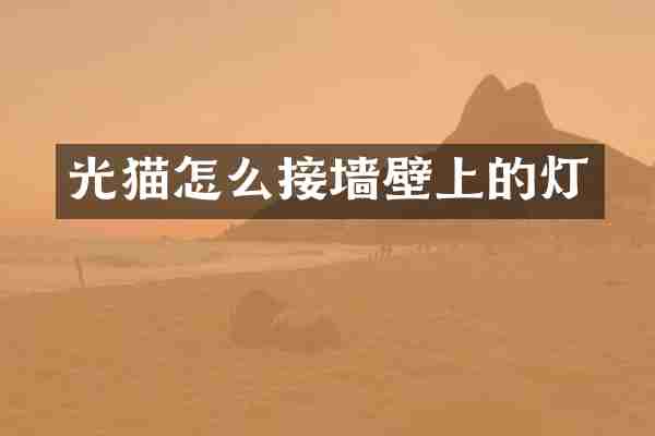 光猫怎么接墙壁上的灯