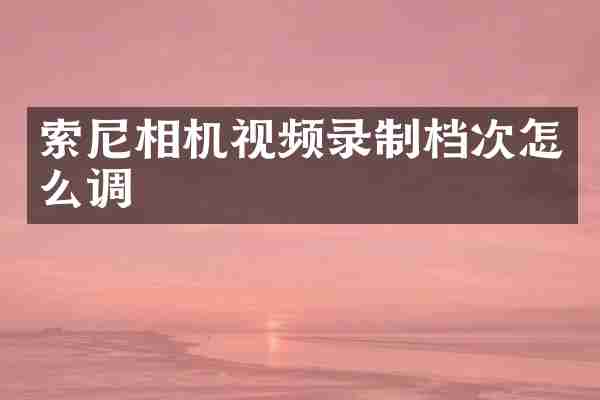 索尼相机视频录制档次怎么调