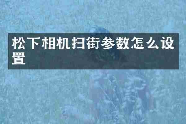 松下相机扫街参数怎么设置