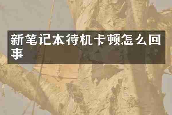 新笔记本待机卡顿怎么回事