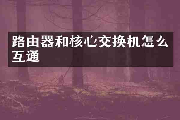 路由器和核心交换机怎么互通