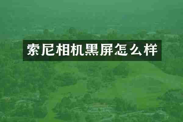 索尼相机黑屏怎么样