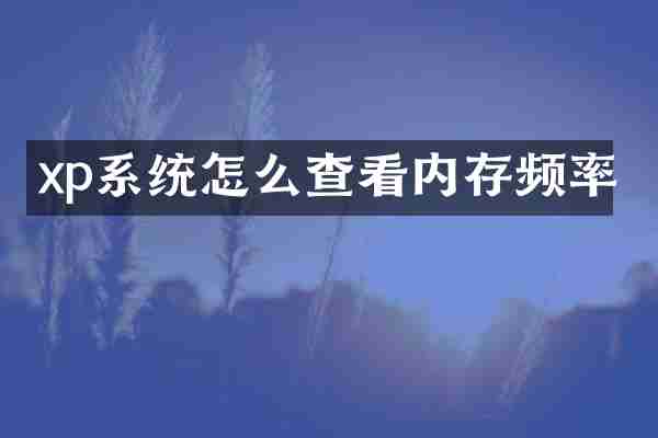 xp系统怎么查看内存频率