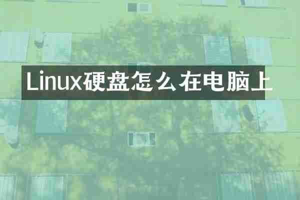 Linux硬盘怎么在电脑上