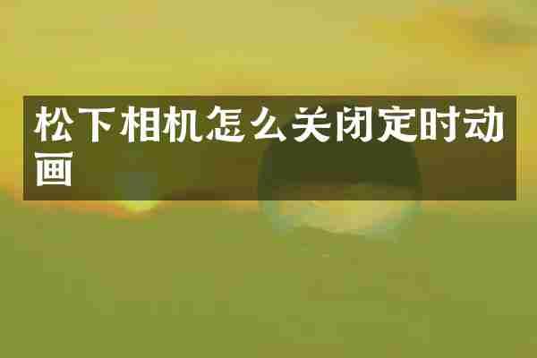 松下相机怎么关闭定时动画