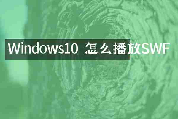 Windows10 怎么播放SWF