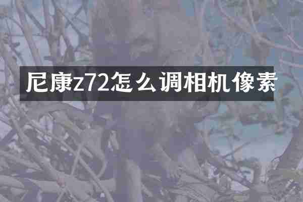 尼康z72怎么调相机像素