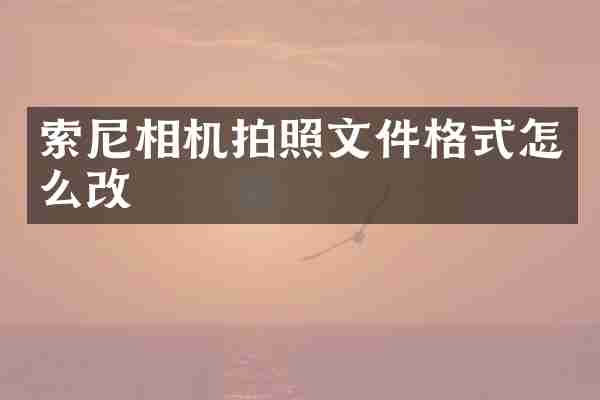 索尼相机拍照文件格式怎么改