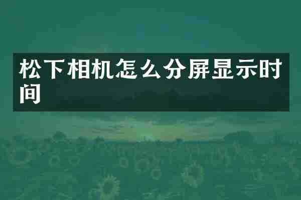 相机怎么分屏显示时间