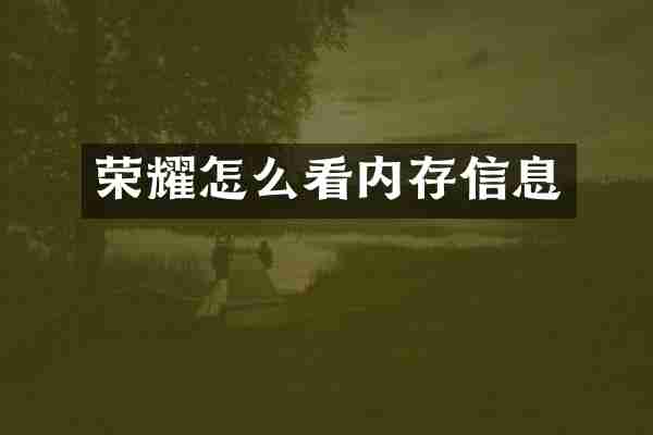 荣耀怎么看内存信息
