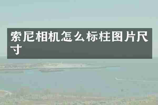 索尼相机怎么标柱图片尺寸