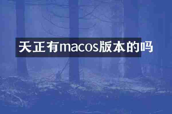 天正有macos版本的吗