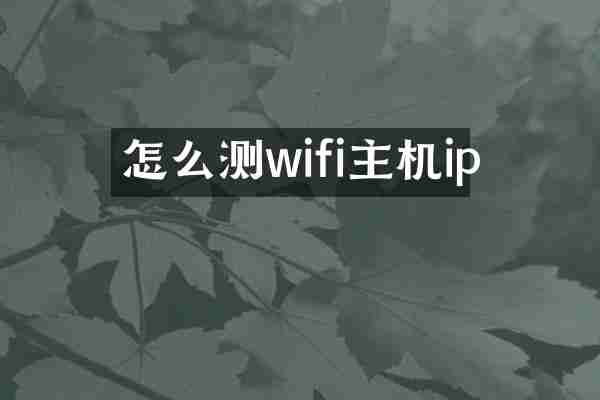 怎么测wifi主机ip