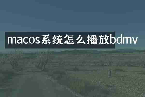 macos系统怎么播放bdmv