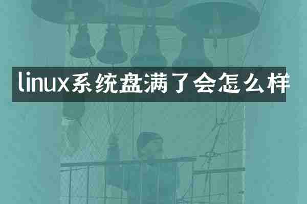 linux系统盘满了会怎么样