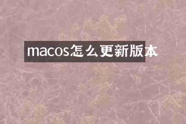 macos怎么更新版本