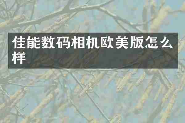 佳能数码相机欧美版怎么样