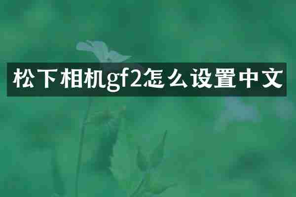 相机gf2怎么设置中文