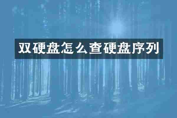 双硬盘怎么查硬盘序列