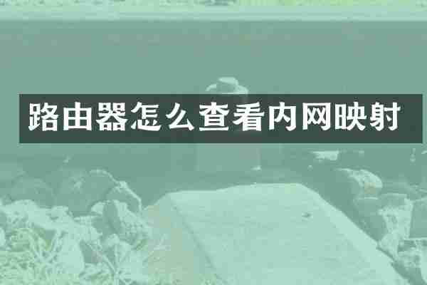 路由器怎么查看内网映射