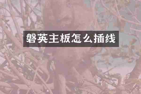 磐英主板怎么插线