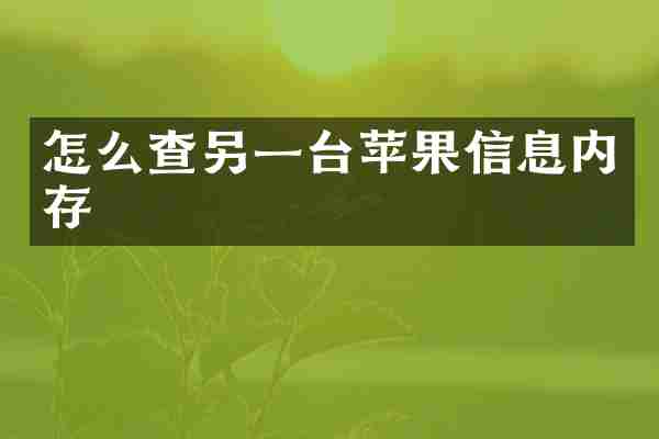 怎么查另一台苹果信息内存