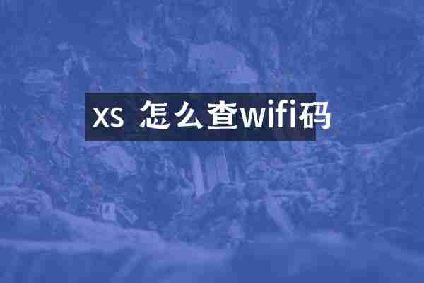 xs 怎么查wifi码