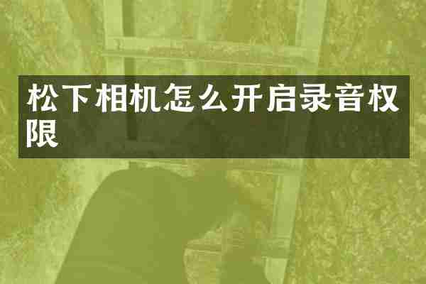 相机怎么开启录音权限