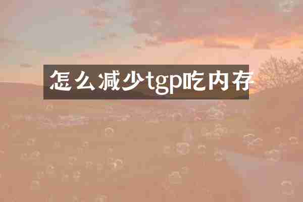 怎么减少tgp吃内存