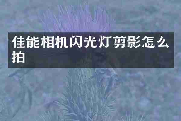 佳能相机闪光灯剪影怎么拍
