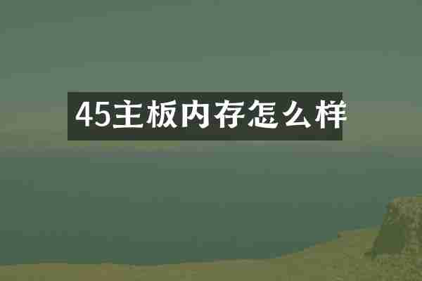 45主板内存怎么样