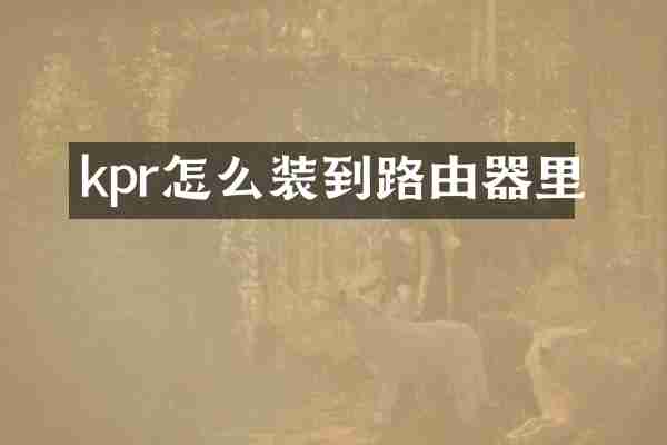 kpr怎么装到路由器里