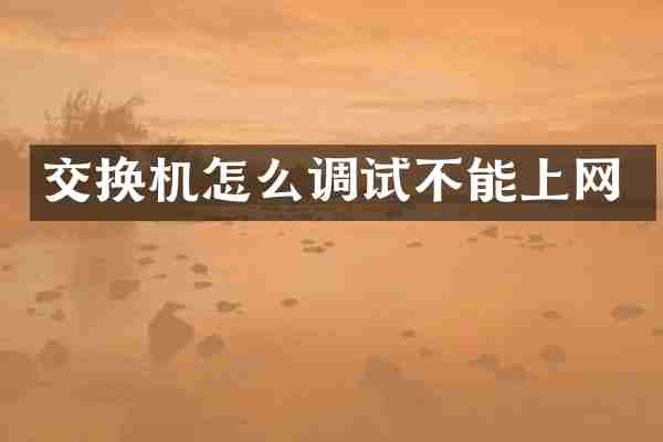 交换机怎么调试不能上网