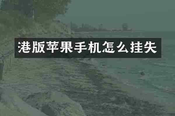 港版苹果手机怎么挂失