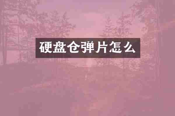 硬盘仓弹片怎么