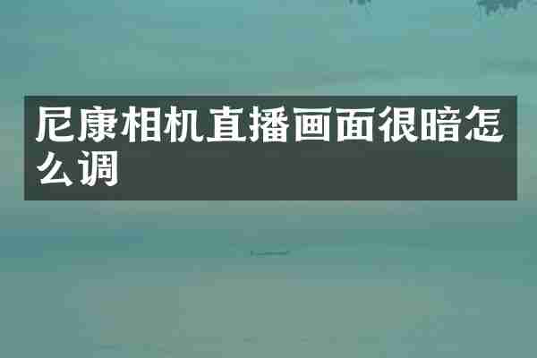 尼康相机直播画面很暗怎么调