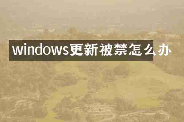windows更新被禁怎么办
