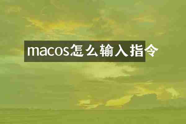 macos怎么输入指令