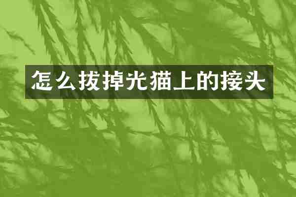 怎么拔掉光猫上的接头
